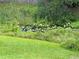 Backyard landscape with a pond with greenery and lily pads at 4643 Fern Pine Dr, Orlando, FL 32808