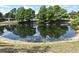 Beautiful neighborhood pond reflecting the sky and surrounding trees at 1515 Pelican St, Longwood, FL 32750