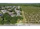 Aerial view showing lush neighborhood bordering citrus groves at 7201 Halton Ct, Windermere, FL 34786