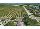 Charming home with well-defined property lines, adjacent to an extensive citrus grove at 7201 Halton Ct, Windermere, FL 34786