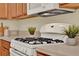 Close-up of a modern kitchen with white appliances, wood cabinets, and stylish plant accents at 8245 Laureate Blvd, Orlando, FL 32827