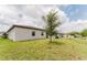 Backyard featuring a green lawn and white siding with a tree at 856 Teton St, Haines City, FL 33844