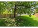 Shady backyard featuring lush green grass and mature trees, creating a tranquil outdoor space at 9330 Shadow Pinar Ct, Orlando, FL 32825