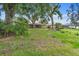 Private backyard with mature trees, lush lawn and screened-in porch, ideal for outdoor entertaining and relaxation at 11 Huntley Ct, Haines City, FL 33844