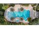 Aerial view of a large, kidney-shaped pool with surrounding palm trees and sun loungers at 4608 Atwood Dr, Orlando, FL 32828