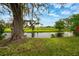 Beautiful backyard featuring a pond view, a majestic tree, and a vibrant blue sky at 15862 Citrus Grove Loop, Winter Garden, FL 34787