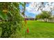View of the backyard and screened-in patio from behind a tree and flowering bushes at 15862 Citrus Grove Loop, Winter Garden, FL 34787