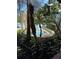 A view of a spa hidden amongst the palms and other tropical plants at 12527 Floridays Resort Dr # 506-E, Orlando, FL 32821