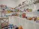 Well-stocked pantry with wire shelving and plenty of storage space at 1323 Berry Ln, Davenport, FL 33837