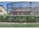 View of screen enclosed pool with privacy hedge creating a serene backyard retreat at 2186 Tripoli Ct, Kissimmee, FL 34747