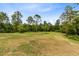 Open grass yard with trees on a sunny day at 2245 Bronco Dr., St Cloud, FL 34771