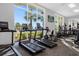 Well-lit gym with multiple treadmills and elliptical machines facing a window at 1221 Aloha Blvd, Davenport, FL 33897