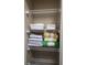 Closet with adjustable shelves featuring neatly stacked towels, offering ample storage space at 3500 Calabria Ave, Davenport, FL 33897