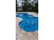 Relaxing backyard pool and spa offers outdoor enjoyment and a peaceful retreat at 4811 Sw 108Th Place Rd, Ocala, FL 34476