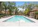 A large pristine pool surrounded by lounge chairs and lush tropical landscaping at 6400 Raleigh St # 3015, Orlando, FL 32835