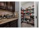 Walk-in pantry featuring ample storage space with shelving at 1003 Nathan Ridge Rd, Clermont, FL 34715
