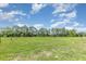 Large grassy backyard surrounded by mature trees under a bright blue, cloudy sky at 10453 Old Studio Rd, Clermont, FL 34711