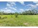 Expansive backyard with lush green grass, a gazebo, and mature trees under a blue sky at 10453 Old Studio Rd, Clermont, FL 34711