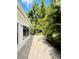 Backyard with privacy enhanced by lush tropical plants and foliage adjacent to a brick paver walkway at 11714 Peachstone Ln, Orlando, FL 32821