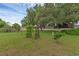 Large backyard featuring mature trees, wooden trellises, and well-maintained lawn at 3162 Little Sound Dr, Orlando, FL 32827