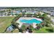 An aerial view of the community pool area features a uniquely shaped pool, seating, and lush landscaping with palm trees at 372 Willet St, Haines City, FL 33844