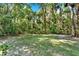 Spacious backyard surrounded by lush foliage and mature trees at 626 Pearl Rd, Winter Springs, FL 32708