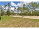 Spacious backyard features a partially cleared lot surrounded by trees and lush greenery at 9695 Sw 125 Court Rd, Dunnellon, FL 34432