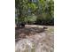 Spacious backyard featuring mature trees, a barbecue grill, and a cozy firepit area at 1150 Jackson St, Oviedo, FL 32765
