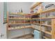 Walk-in pantry with custom built-in shelves, ideal for storing groceries and kitchen appliances at 15698 Panther Lake Dr, Winter Garden, FL 34787