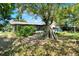 Large backyard with mature trees and a screened-in patio at 513 Dew Drop Cv, Casselberry, FL 32707