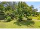 Green backyard showcasing a variety of trees, plants, and verdant lawn, perfect for outdoor activities and relaxation at 1247 Rosemary Dr, Orlando, FL 32807