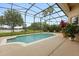 Sparkling pool with a screened-in enclosure, complemented by potted plants and outdoor seating at 14174 Islamorada Dr, Orlando, FL 32837