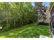 Expansive backyard featuring lush greenery, mature trees, and a well-maintained lawn at 2153 Cypress Villas Dr, Orlando, FL 32825