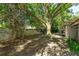 Spacious back yard with a mature trees and a concrete block wall at 470 Oak Haven Dr # 470, Altamonte Springs, FL 32701