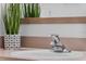 Clean bathroom features a modern faucet and sink, and decorative house plant at 1084 Park Ridge Cir, Kissimmee, FL 34746