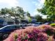 Charming street view with vibrant pink flowers, shops, and parked cars under a sunny sky at 1791 Spruce Ave, Winter Park, FL 32789