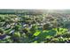 Overhead aerial view showcasing the neighborhood, mature trees, and well-maintained residential properties at 3499 Woodley Park Pl, Oviedo, FL 32765