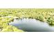 Aerial view of lake, surrounded by lush trees, with boat docks on the water at 356 Remington Dr, Oviedo, FL 32765