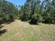 View of the backyard featuring grassy areas and trees at 3707 Andover Cay Blvd, Orlando, FL 32825