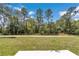 Backyard featuring a lush green lawn with mature trees along the back of property at 6691 Sw 151Sr Loop, Ocala, FL 34473