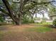Backyard with large oak trees and green space, ideal for outdoor activities at 1244 Woodland Ave, Lakeland, FL 33801