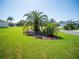 Lush front yard featuring vibrant green grass, a mature palm tree, and well-manicured landscaping at 2167 Kerwood Loop, The Villages, FL 32162