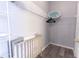 Walk-in closet with shelving; baby crib included at 117 Rosso Dr, Davenport, FL 33837