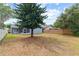 Lush backyard with a large tree and manicured lawn, offering a peaceful and spacious outdoor retreat at 12952 Downstream Cir, Orlando, FL 32828