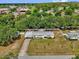 Aerial view of a house featuring a green yard and surrounded by mature trees at 13009 Plum Lake Cir, Minneola, FL 34715