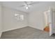 Bright bedroom features a ceiling fan, fresh white walls and trim, plus a new grey carpet at 2450 Mcintosh Way, Maitland, FL 32751