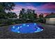 Beautiful kidney-shaped pool with brick pavers and lush tropical landscaping at 2450 Mcintosh Way, Maitland, FL 32751