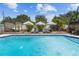 In-ground pool with lounge seating, patio umbrellas, and tropical landscaping at 2801 Plaza Terrace Dr, Orlando, FL 32803