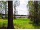 Lush green backyard with mature trees and a glimpse of the peaceful waterfront at 548 Glen Haven Dr, Deltona, FL 32738