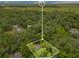 Aerial view of the home surrounded by mature trees and greenery at 12046 Se 135Th Ave, Ocklawaha, FL 32179